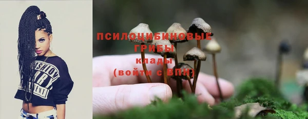 СК Карпинск