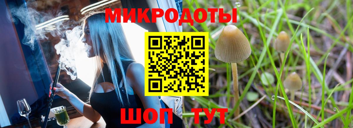 Псилоцибиновые грибы MAGIC MUSHROOMS Клинцы